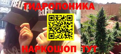 стафф Заволжье