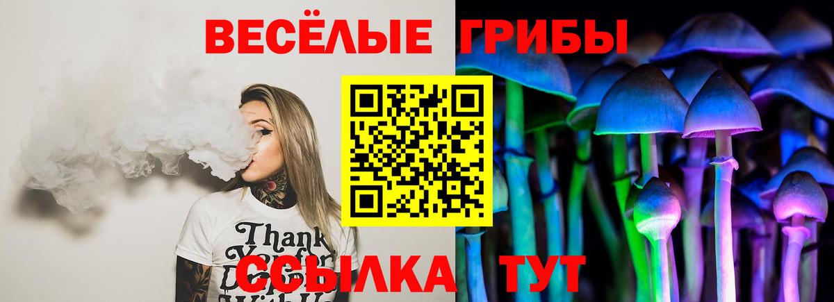 Галлюциногенные грибы мицелий Лениногорск