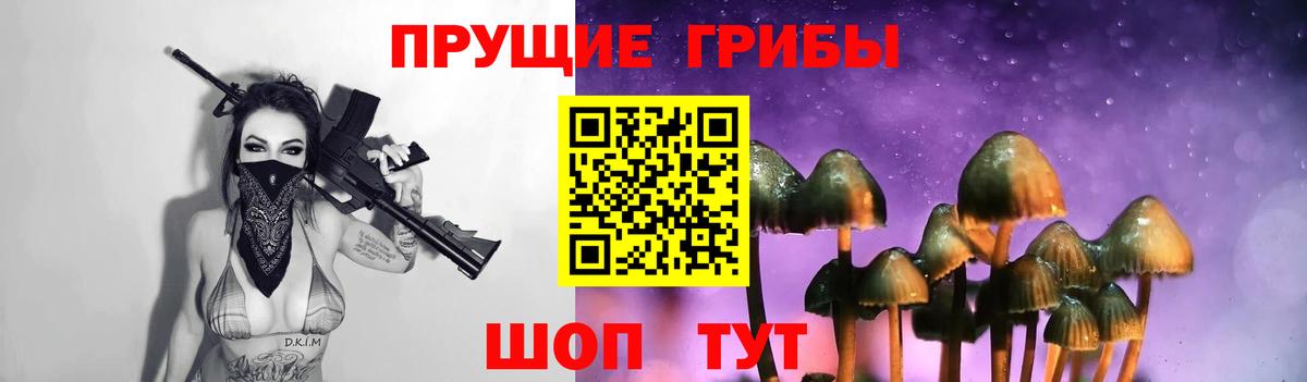 Лениногорск  Галлюциногенные грибы Psilocybine cubensis  где продают наркотики  Вход с VPN  Галлюциногенные грибы Psilocybine cubensis 